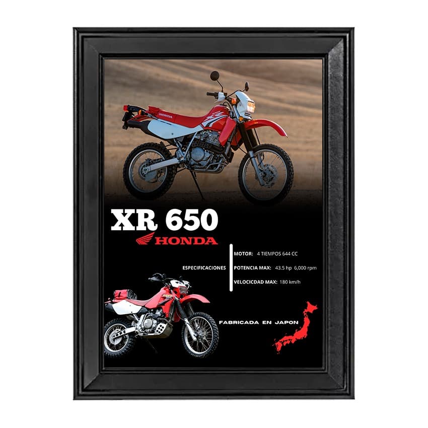 Cuadro Decorativo Personalizado - Motos de cualquier tipo